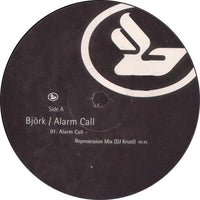 Björk - Alarm Call (12", Single, #3) - Noise In Stereo